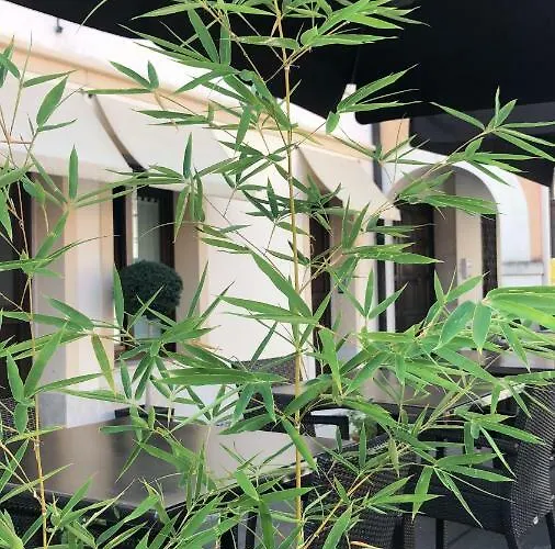 Panzió Valentino 3*